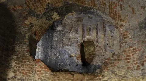 Malowidła w Elizeum w fatalnym stanie. Wilgoć utrudnia konserwację