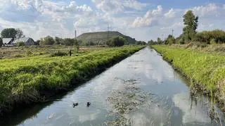 Ruszyły prace wzdłuż brzegu Utraty w Pruszkowie