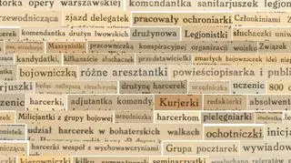 Ratusz i Warszawska Rada Kobiet przygotowały podręcznik o feminatywach 