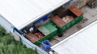 Transport zwierząt do ubojni w powiecie sokołowskim