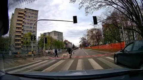 Kopnięcie karate nie pomogło. Kierowca przejechał mu przed nosem. Nagranie
