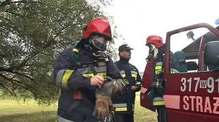 fot. Lech Marcinczak/tvnwarszawa.pl