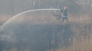 Pożar traw przy moście Siekierkowskim