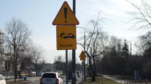 "Nie potrafią użytkować drogi przy 50 km/h, to będą jeździć 30 km/h"