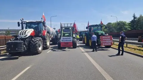 Rolnicy protestowali na Mazowszu. Zablokowali drogę pod Warszawą