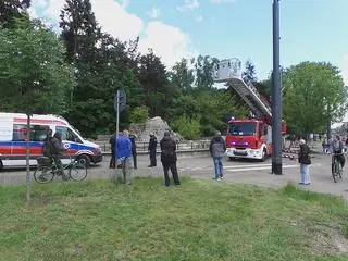 Pijany mężczyzna wszedł do wybiegu dla niedźwiedzi