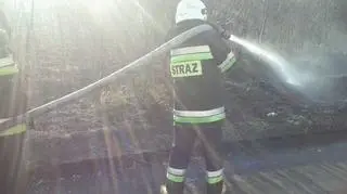 Strażacy w akcji