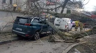 Do zdarzenia doszło na ulicy Walecznych 