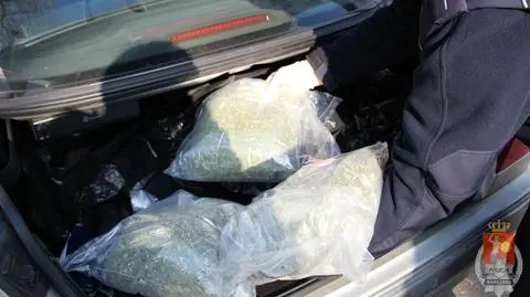 3 kilogramy marihuany w mercedesie