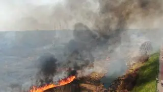 Pożar trawy pomiędzy Wisłą a Wałem Miedzeszyńskim