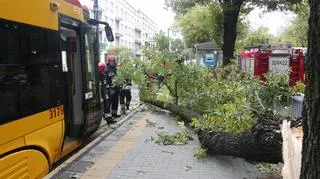 Drzewo zablokowało tramwaje na Mickiewicza