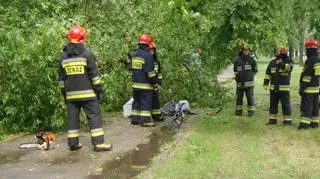 Drzewo spadło na kobietę z wózkiem dziecięcym