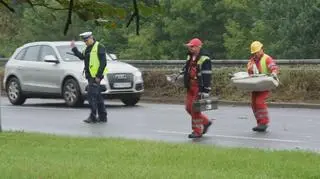 Zderzenie na Wisłostradzie