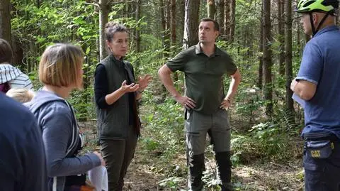 15 procent Warszawy zajmują lasy. Ruszają spacery z leśnikami