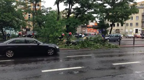Drzewo spadło na jadący samochód