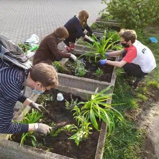 Akcja sadzenia przy Skwerze Żurowskiego