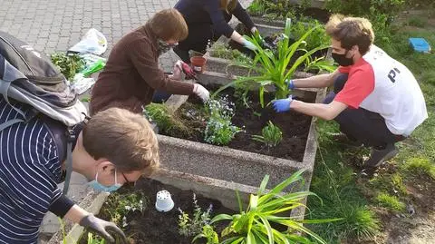 "Nie niszcz rabatki, to nasze kwiatki". W Warszawie można adoptować donicę