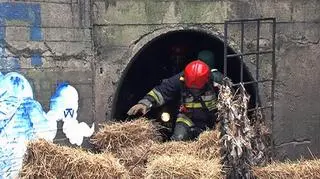 fot. Lech Marcinczak/tvnwarszawa.pl