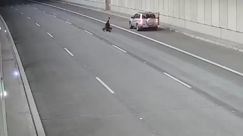 Na zdjęcie, na siku albo żeby... stanąć na głowie. Kierowcy robią dziwne rzeczy w tunelu POW