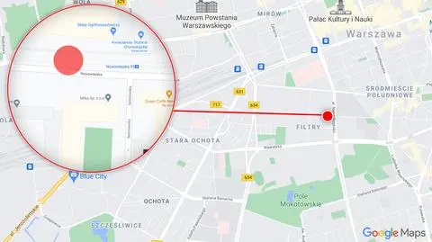 Konar spadł na sieć trakcyjną i zablokował tramwaje