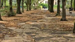 Woda z pękniętej rury wleciała do parku Szustrów i parku Promenada