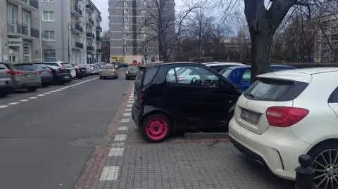 Pełny parking? Nie ma problemu, zmieścił się pod drzewem
