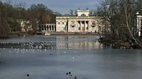 53 000 kwiatów w Łazienkach "To będzie znak przebudzenia"
