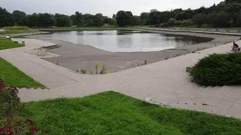 Staw na Polu Mokotowskim