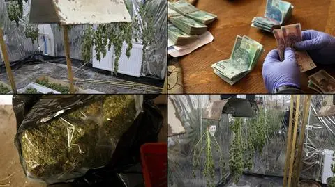 Zwłoki w garażu, obok plantacja marihuany