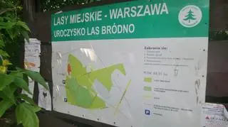 Porozrzucane śmieci w Lesie Bródnowskim