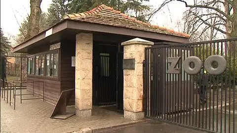 Ostry spór w warszawskim zoo