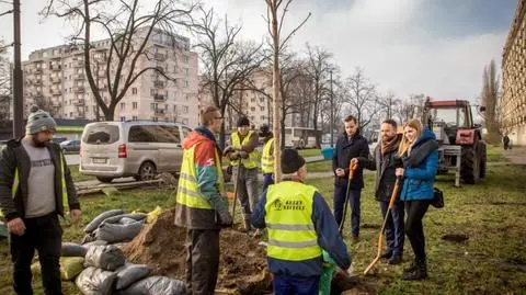 Mieszkańcy wskazali lokalizacje, ratusz posadzi. 1192 drzewa dla stolicy 