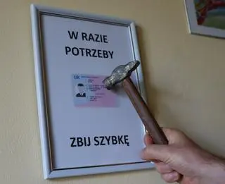 Podobne "prawo jazdy" pokazał kierowca podczas kontroli (zdjęcie ilustracyjne)