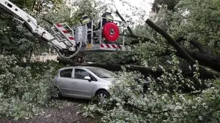 Drzewo spadło na samochody