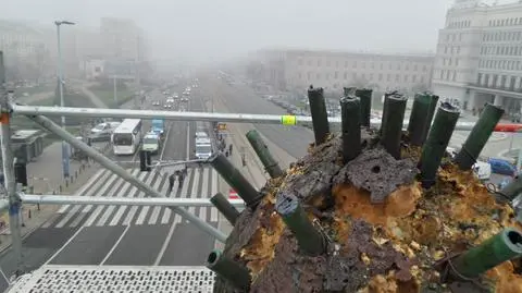 Zobacz Warszawę z perspektywy daktyla