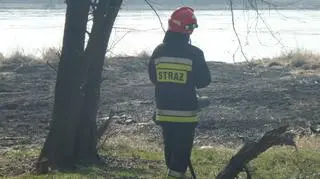 Znów pożar traw przy moście Świętokrzyskim