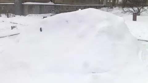 Znajdź na zdjęciu samochód