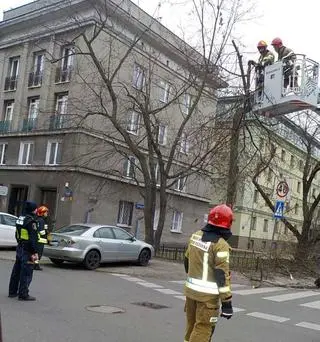 Spróchniałe drzewo zagrażało przechodniom 