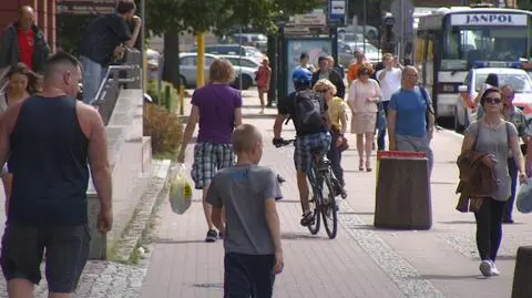 Trudne współżycie warszawskich kierowców, pieszych i rowerzystów