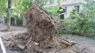 Ogromne drzewo zwaliło się na sąsiadujący budynek