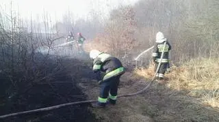 Pożar traw na Targówku