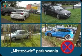 "Mistrz" parkowania 