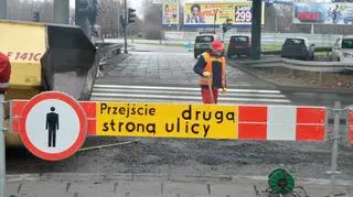 Frezują Sasanki