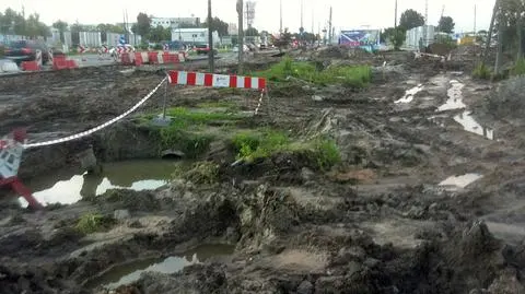 Ciężka sytuacja pieszych w al. Krakowskiej fot. Lech Marcinczak/tvnwarszawa.pl