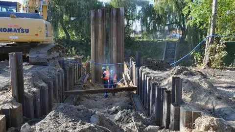 Palisada z grodzic na Dźwigowej