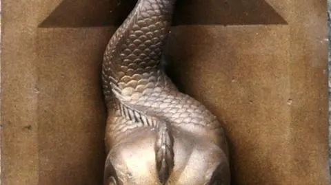 Suszy suma z Mokotowa. Od dwóch lat czeka na wodę