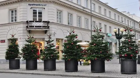 102 świerki i 106 jodeł. Świąteczne drzewka udekorowały centrum