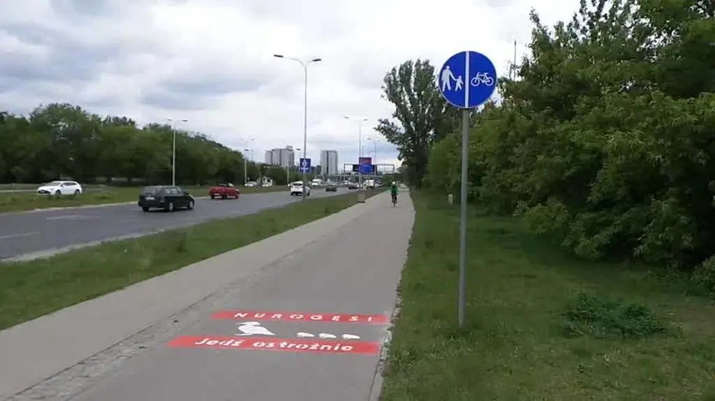 Kaczki