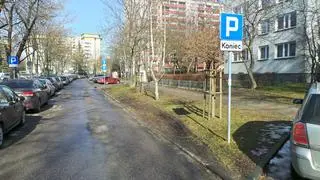 Zniszczone trawniki przy Langego