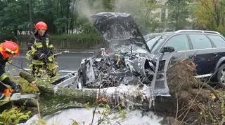 Audi uderzyło w drzewo